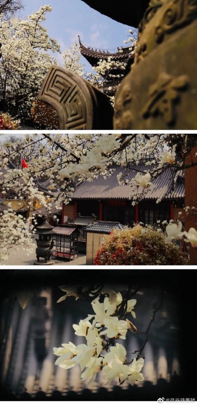 南京这座寺院上热搜了有人为它写诗又写词