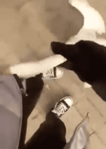 |搞笑GIF:一转身美美哒