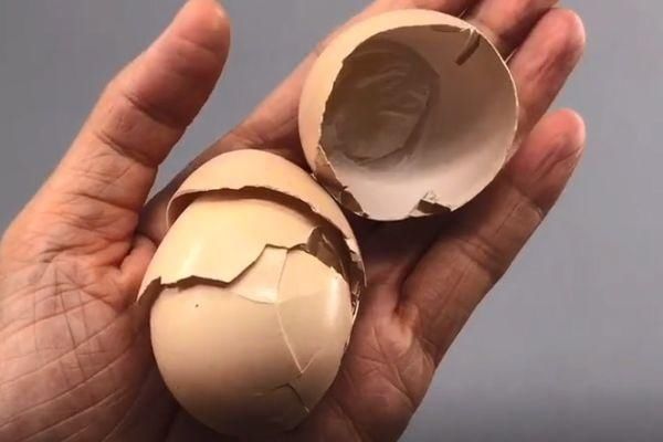 扔鸡蛋壳等于在扔钱,留在家里特别“值钱”,作用花钱都买不到