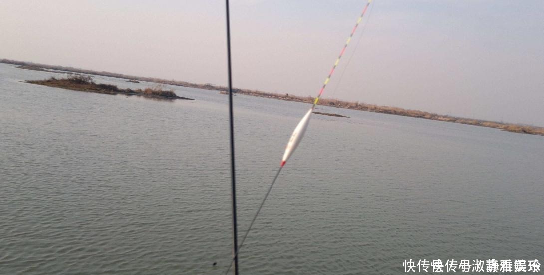 灵敏度|浮漂的“灵敏度”到底是指什么?原来有2个概念,很多钓友都不懂