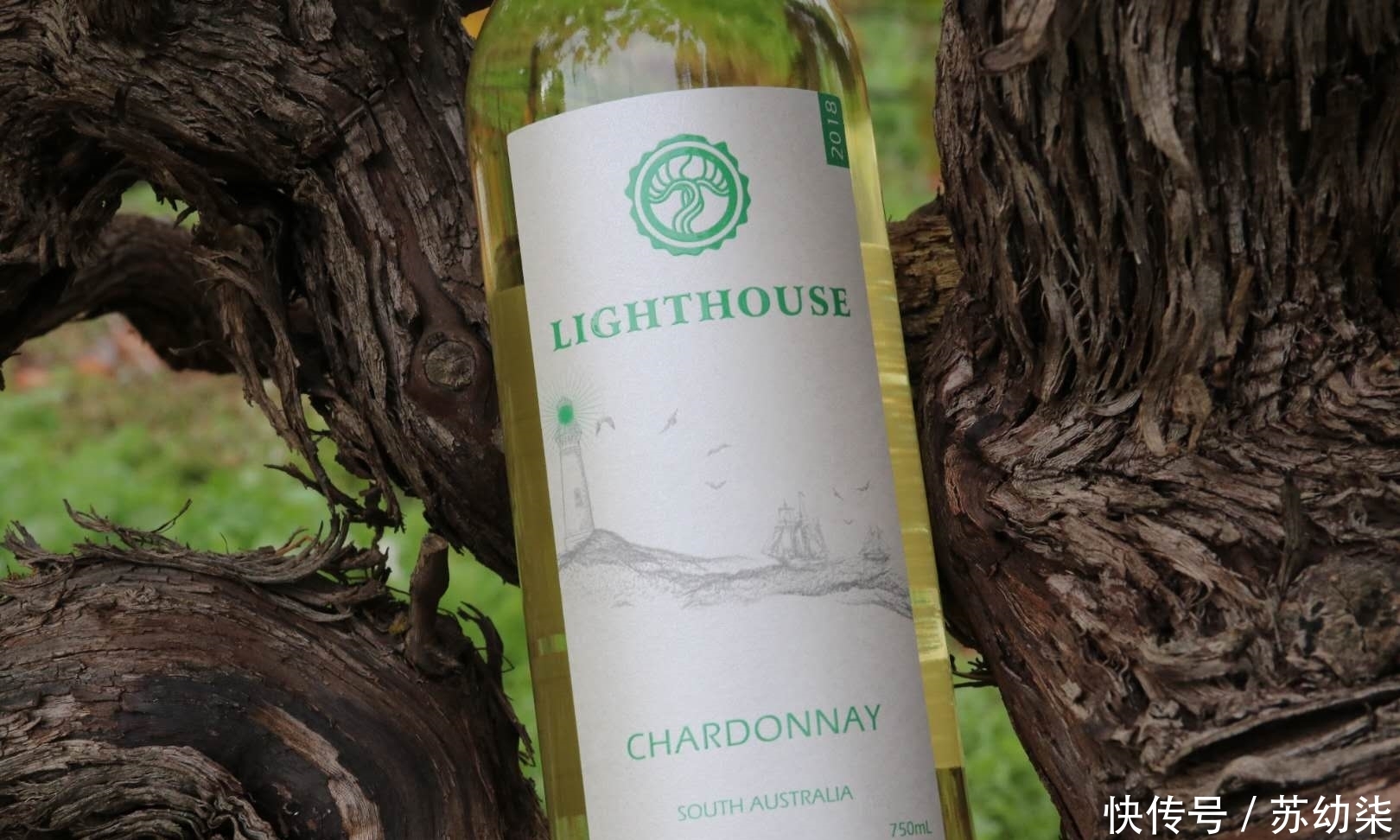 白葡萄酒|你们知道白葡萄酒是怎样来酿造的呢?