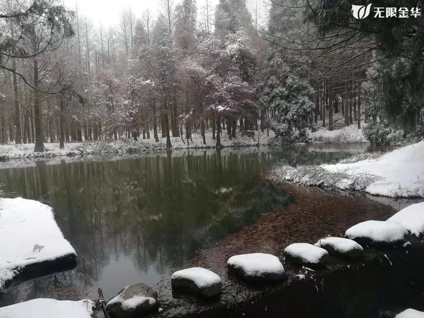 积雪|积雪5厘米！今日北山最鲜雪景来了！