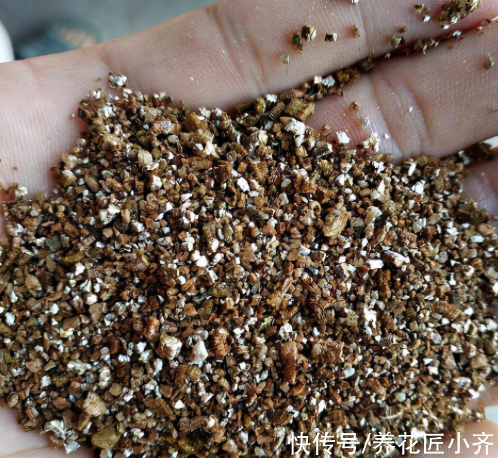 什么专用土、通用土，都不如自己“调配”，适合环境的才是最好的