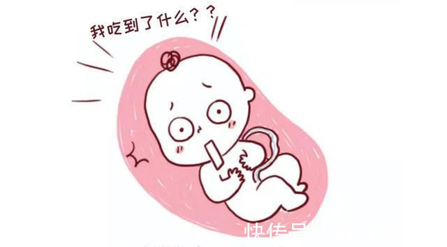 胎宝|怀孕期间,胎儿的屎尿排哪了知道答案后,孕妈哭笑不得