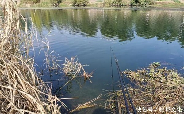更难|冬季钓不到鱼,不能怪天冷,气温高可能更难钓,这是为何?