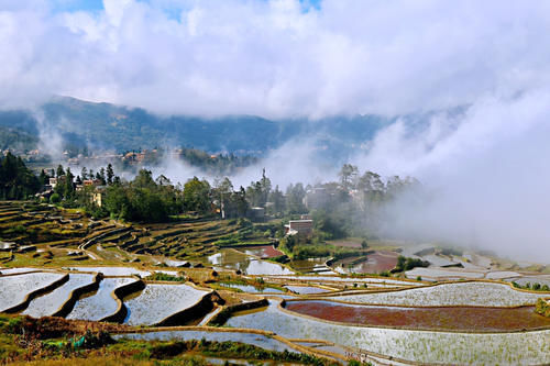 梯田|开车一小时海拔升高两千米，还全是盘山公路，却意外发现了蓝色梯田