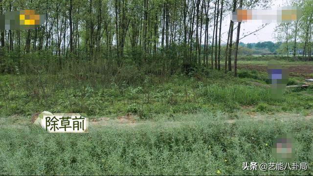 李诞|《向往的生活5》出现最烦人嘉宾,何炅不留情面,黄磊难掩嫌弃