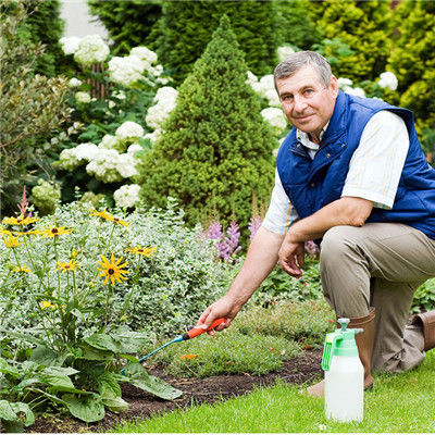 神仙的糧食，東方的神草，它的降三高、調脾胃效果太牛
