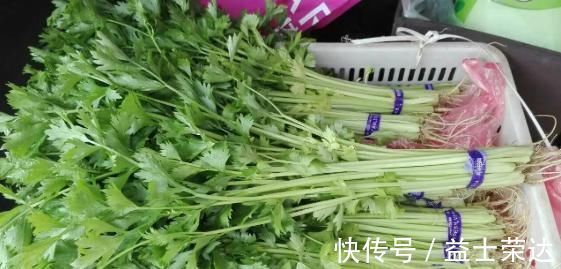 芙蓉花芙蓉花|五种降血压的天然“良药”,好吃还便宜,身边超市就能买到!