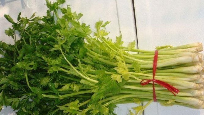 此物|芹菜和此物是天生的敌人,吃完芹菜不能再吃它,现在明白还不算晚