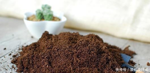 旧土|换盆的旧土都扔了,不学这招你亏大了