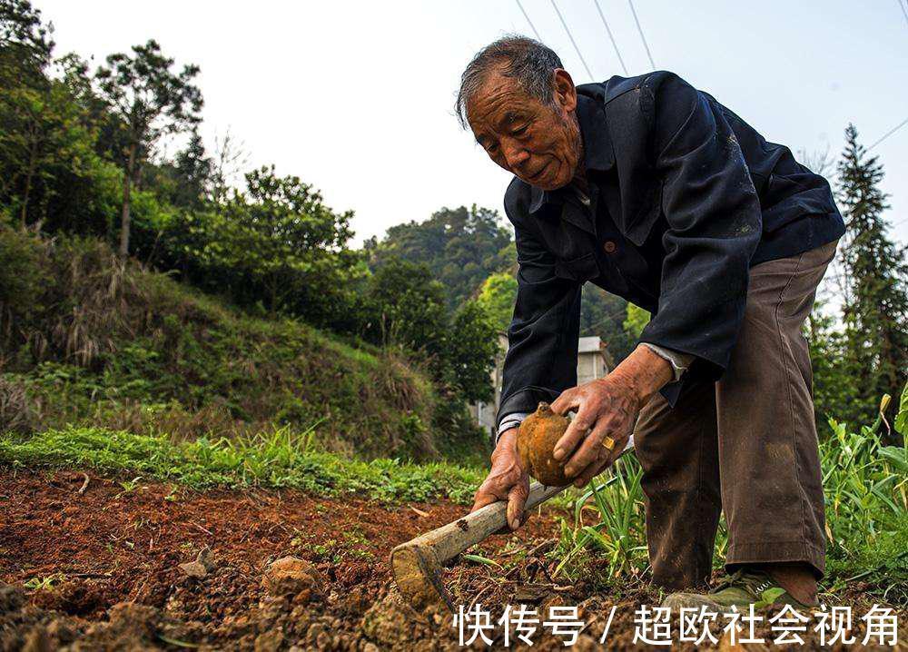稀苷|76岁老人患癌7年不复发，分享长寿经验，他说多亏“3个坏习惯”