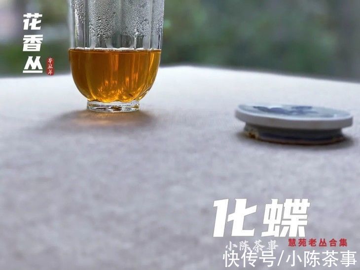 茶汤|泡茶首选！盖碗、紫砂壶、柴烧壶、白瓷壶，谁担得起这个名号？