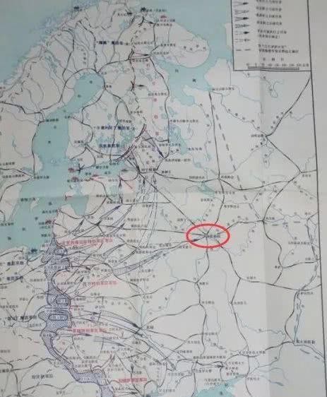 德国|德军二战的100万“动物部队”,没它们可能早就输了