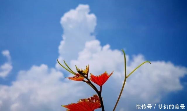 散文诗秋 ·之私语