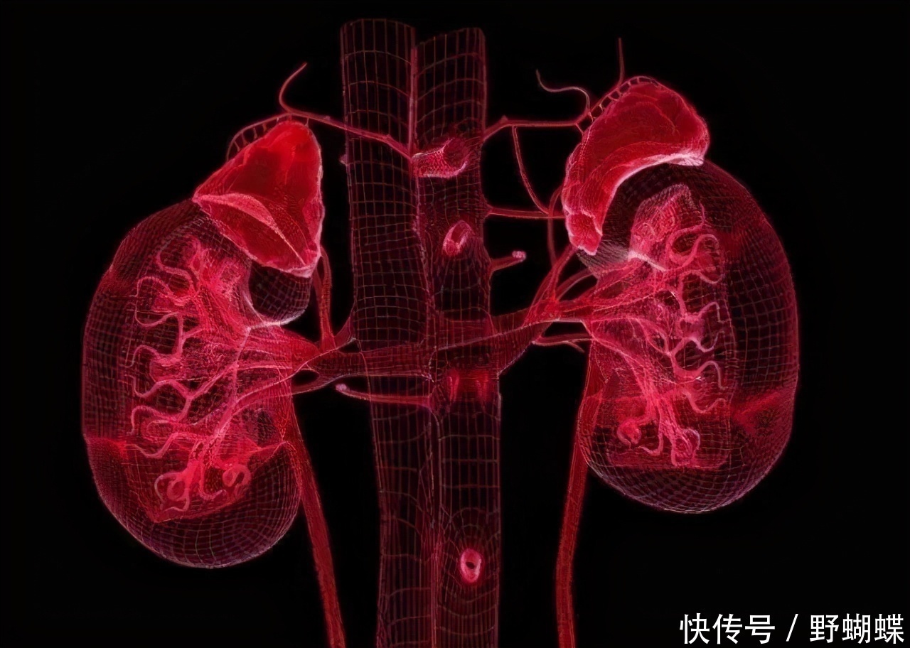 父母|10岁小男孩,查出肾癌,医生得知原因,怒斥家长:不配做父母