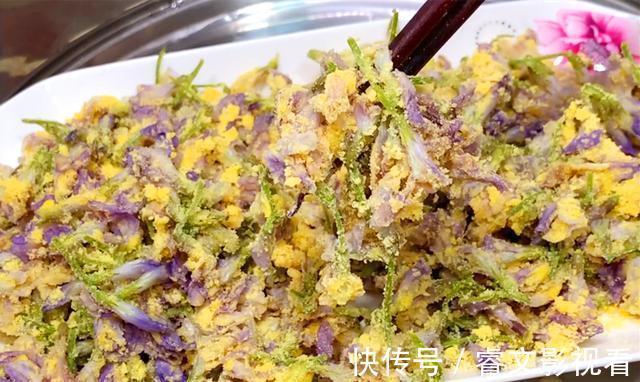 槐花|它是“地里生长的天然青霉素”,隔三差五吃一点,大人孩子少生病