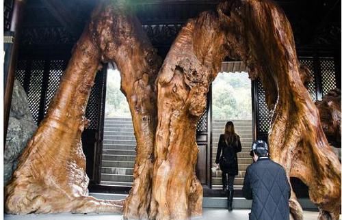 根雕|中国唯一的根雕博物馆,馆内有上千个根雕佛像,堪称“华夏一绝”