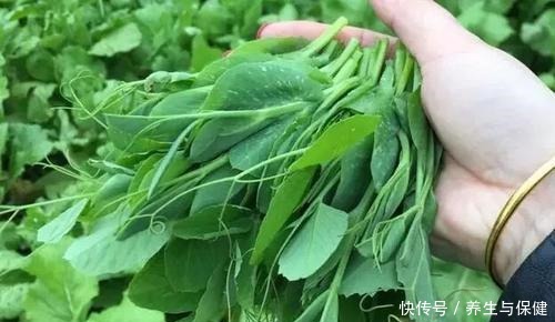 冬天,豆腐和它是绝配,一周吃2次,上锅煮一煮,补钙长个头!