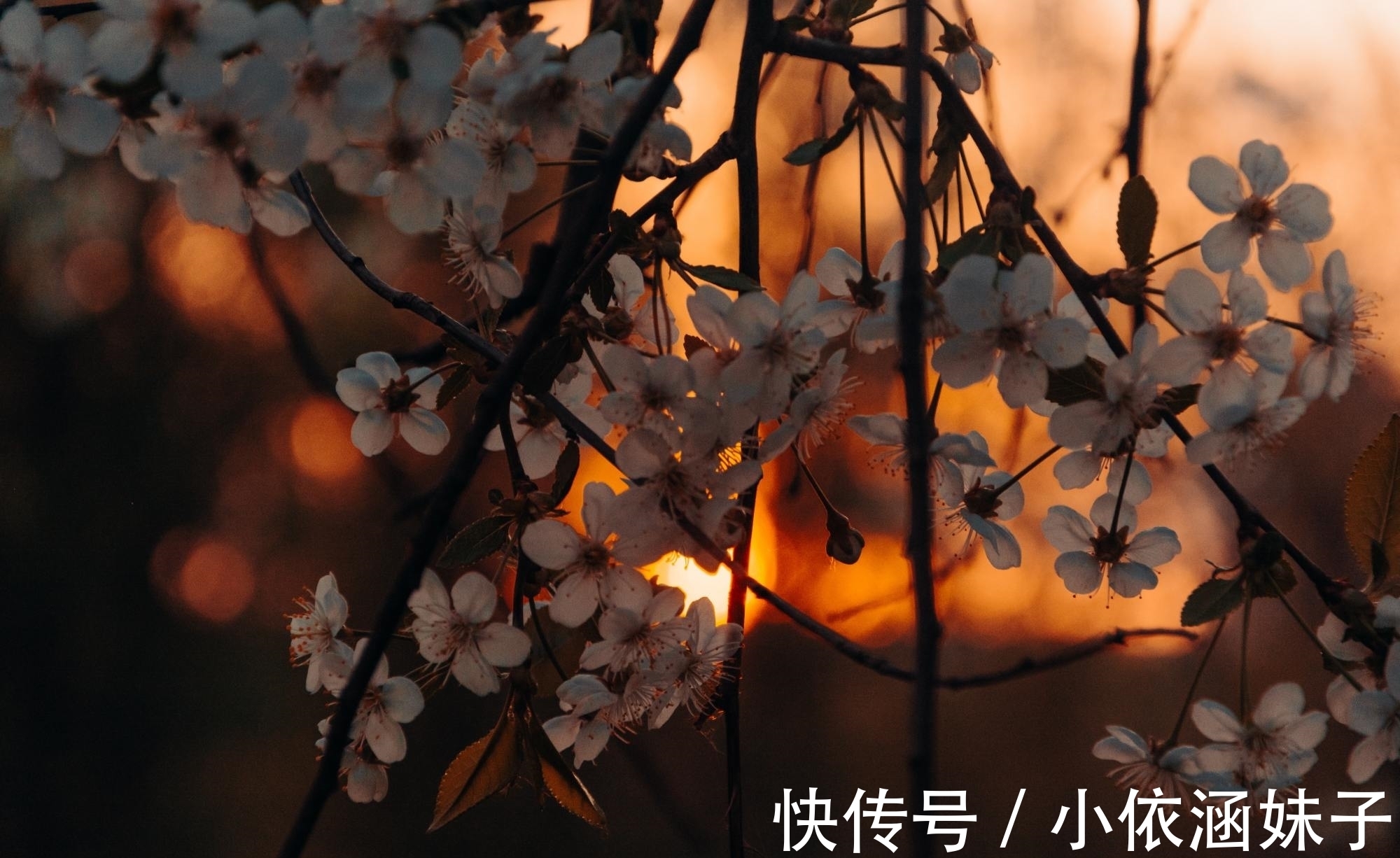 滕王阁序&王勃很经典的一首《山中》,短短20字萧瑟隽永,结尾两句回味无穷