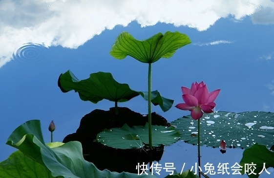 霉运|7月中旬，4属相躲过霉运，桃花不缺，机遇多多，生活顶呱呱