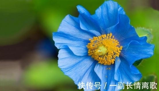 双子|2周后,旧情纠缠,痴心难忘,误会解除,破冰和好,余生如胶似漆