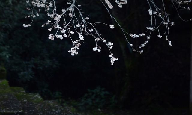 聚宝盆|10副智慧对联:摇钱树出自勤劳者,聚宝盆归于节俭家