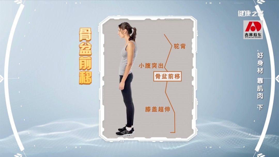 健康之路| 肌肉