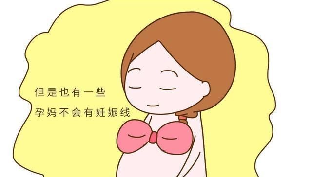 情人|肚里是“小情人”还是“军大衣”，这几点或许能知道，你都中了吗