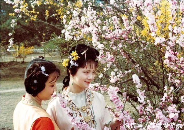 红楼梦|《红楼梦》里薛宝钗一家唯一一次内部争吵为哪般?