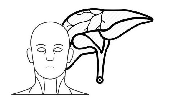消化道出血|上厕所时的三个“异常”,可能暗示肝脏出问题了,别视而不见!
