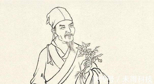 藁本#李时珍灵机一动,记下一张“去头屑”的方子!再不珍惜,恐将失传