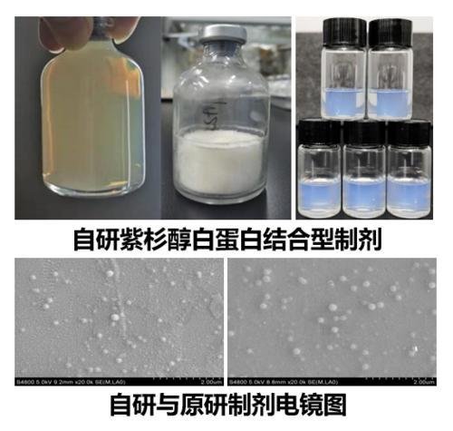 协同|重庆两江协同创新区研出新品:新一代抗肿瘤靶向药将面市