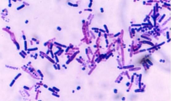 人类 人类为何找不到外星生命?新观点认为:人类一开始的想法就错了