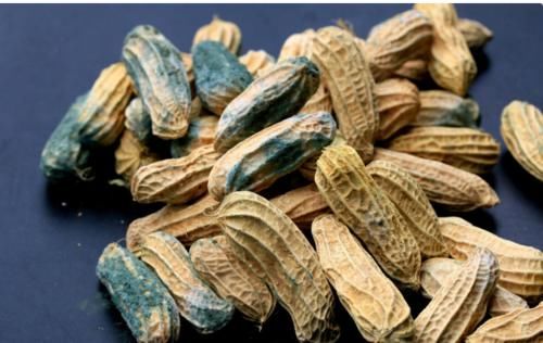 癌细胞“联手”南瓜，跟肝脏打了场“耐力战”，悄悄夺走姑娘健康