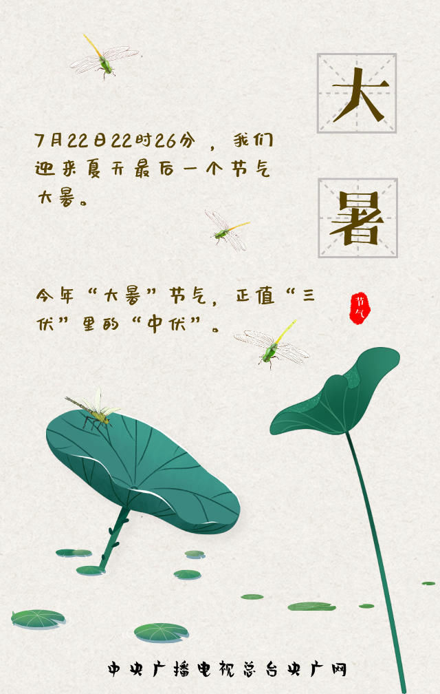 炎暑|大暑来了!炎暑有尽,时光无垠