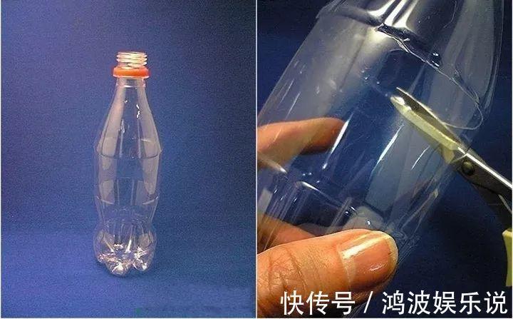 富贵竹|雪碧瓶别丢了,剪个口子拿来养花,一点不比买得花盆差!