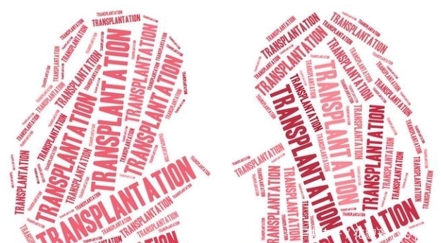 肾移植后还能活多久?你符合肾移植条件吗?