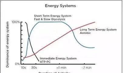 磷酸|作为跑者你知道跑步时身体是怎样供能的吗？揭秘人体三大供能系统