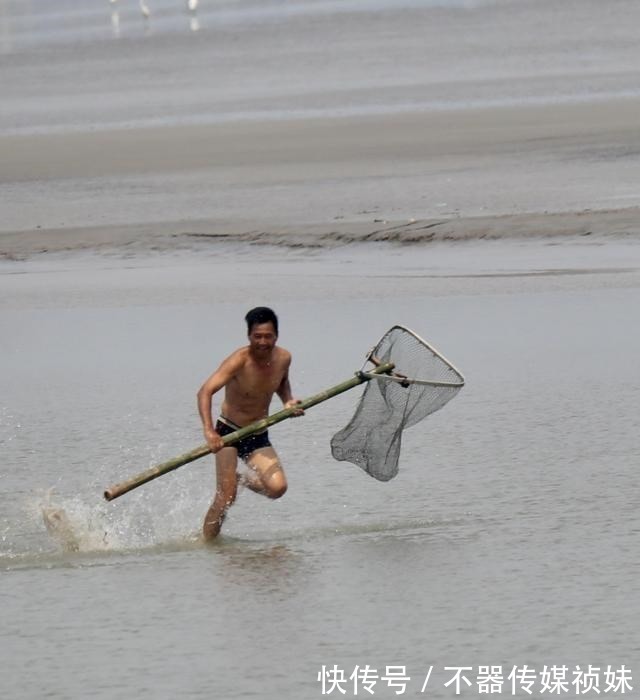 长江君|水里发生了什么？钱塘江大量鱼群乱跳，江边钓鱼人：这是潮头鱼