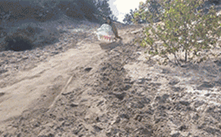 |搞笑GIF:什么良辰吉日,都给我等一会!