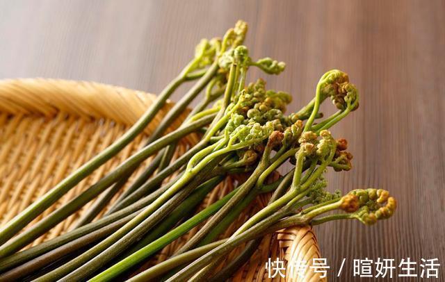蕨菜|人睡三觉,命比纸薄,人吃三饭,寿命减半,说的都是啥