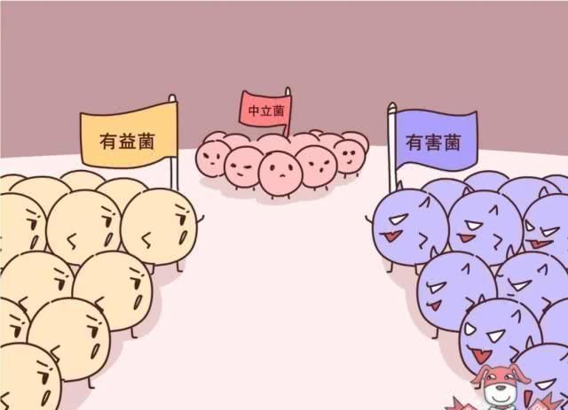 减肥|0卡路里0热量,代糖真的是完美的减肥圣品吗