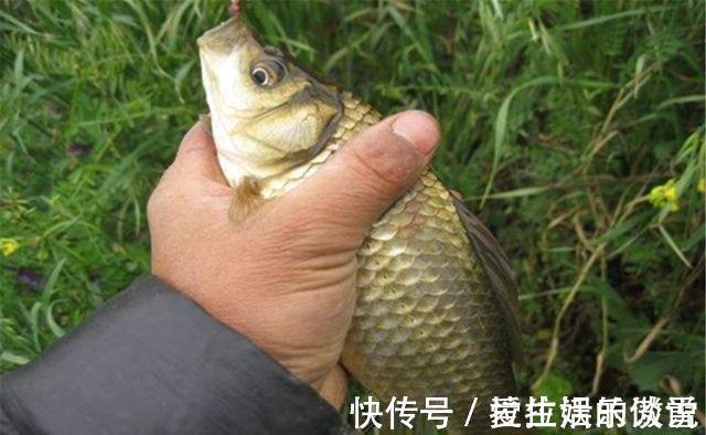 气温|野钓鲫鱼,不能钓底需要钓浮的几个时机,鱼层变化,钓法要跟着变