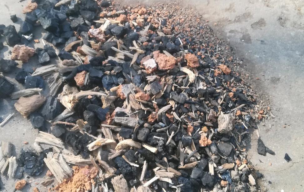 营养性|兰花僵苗、状态差该怎么办?趁早“解锁”3方面顾虑,才不空盆