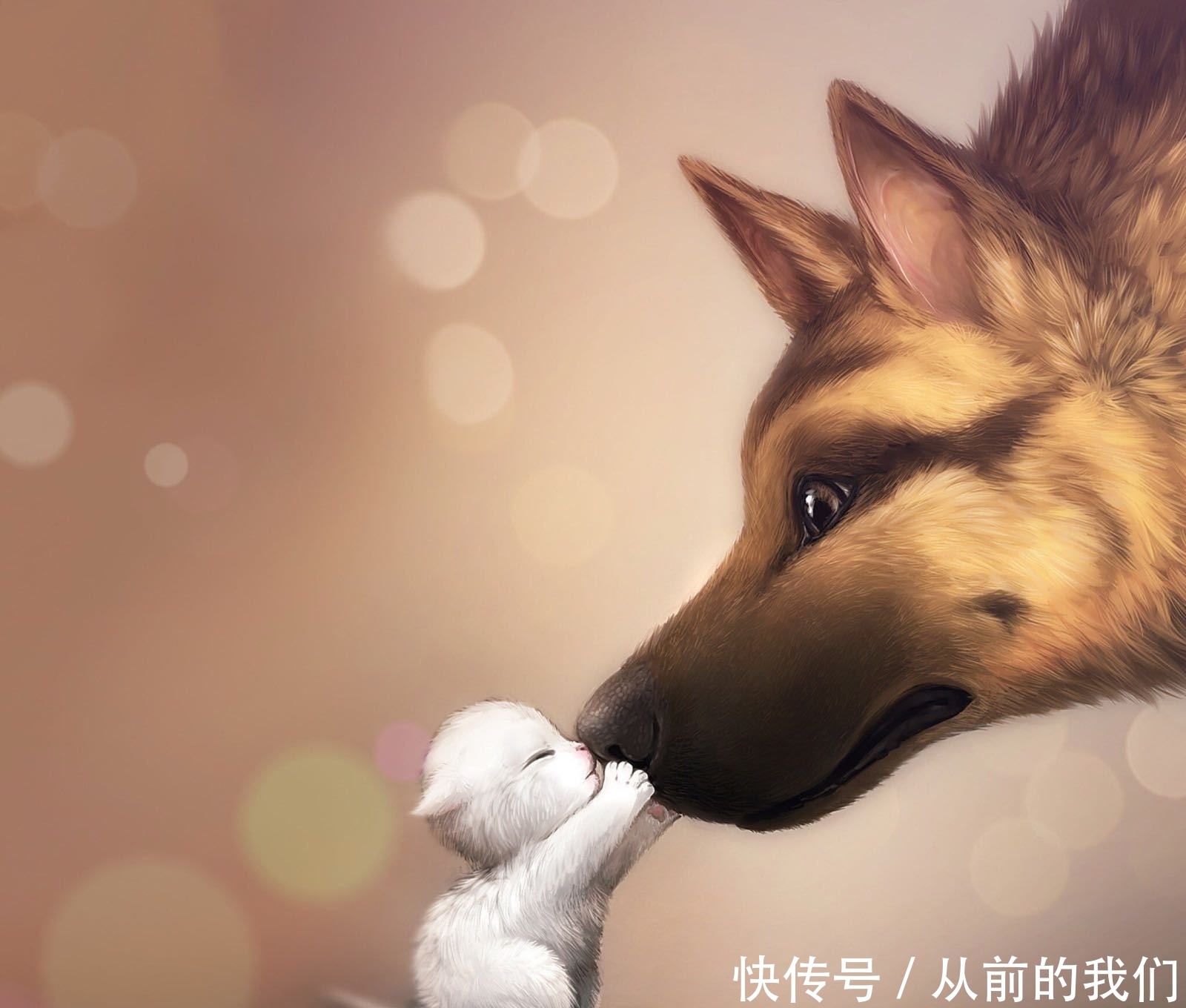 奔跑吧 《奔跑吧》有人要退出么?节目组一波一波操作引发关注