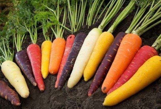 大夫|14岁孩子1年长高18公分,儿科大夫:坚持这个好习惯,个子不发愁