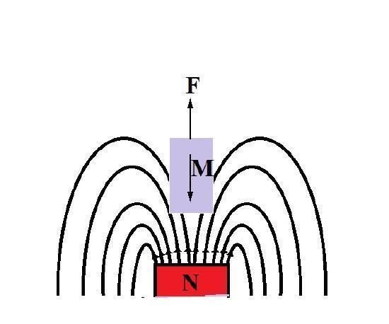 磁性 把人放进强磁场中会怎样?科学家用青蛙做实验,得到一只反重力蛙