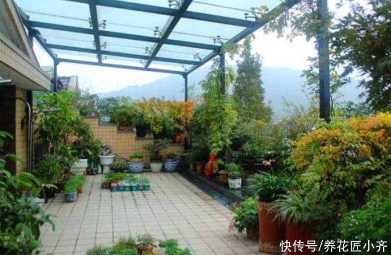 让8成养花新手都后悔的4个“妙招”,再看到别尝试