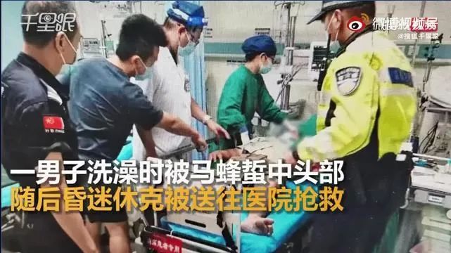 蜂虫|小心！广东一男子被这种昆虫叮咬后休克！